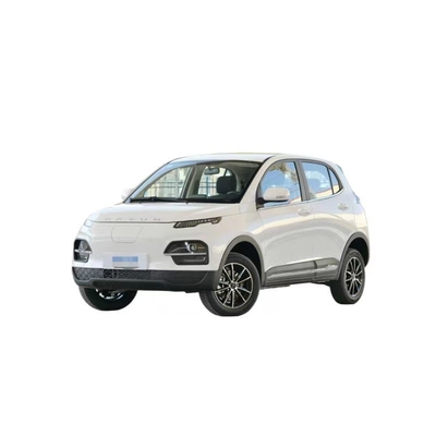 Dayun Yuehu Es3 Ev Electric Vehicle with Customized Options and Long Range Capability