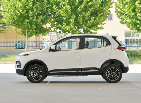 Dayun Yuehu Es3 Ev Electric Vehicle with Customized Options and Long Range Capability