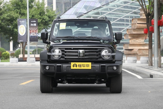 Wey Tank 300 SUV Euro VI Emission Standard and Electric Adjustment Heating Mirror