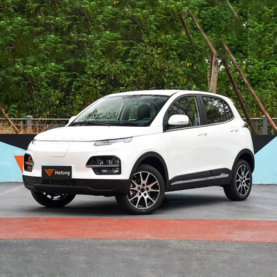 DAYUN M1 Energy Vehicles Electric Car Adult Car Luxury 2023 Yuehu ES3 300km Long Range EV