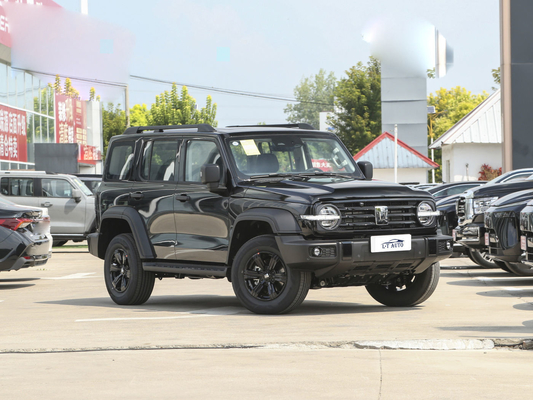 Tank 300 Cross-Country 2.0T Turbo Gasoline Suv Chinese Gas/Petrol-Electric Hybrid Vehicle