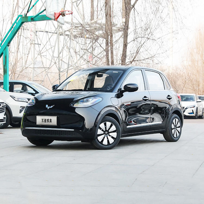 27kw Maximum Power 203km Range Wuling Binguo 203 Small Energy Pure Electric Mini EV Car