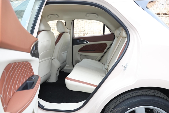 Haomao Mini Electric Car Ora's 401km Range Special Energy Vehicle for Adult Drivers