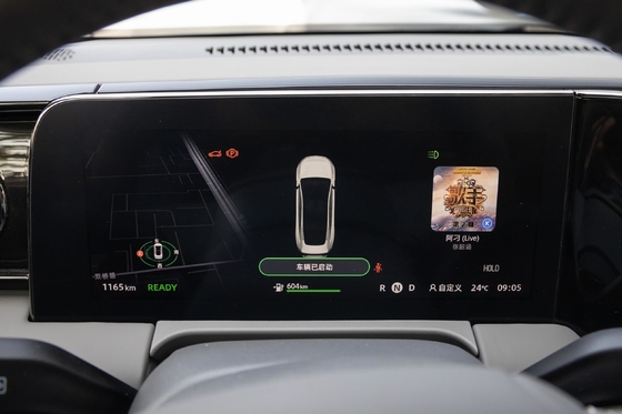 100% Electric Driving Type Lingpao C01 Electric Car Charge for White/Blue or Other