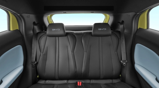 BYD Seagull Modern Auto Energy Electric Vehicle with 4-door 5-seat Body Structure