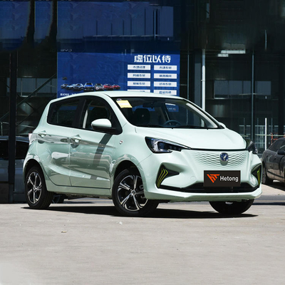 Energy Small Electric Car Changan Benben E-star 2023 0km Max torque 1 Range NEDC 310KM
